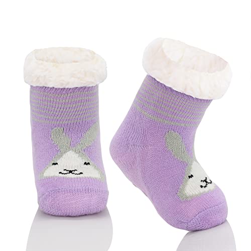 Purple Rabbit Toddler