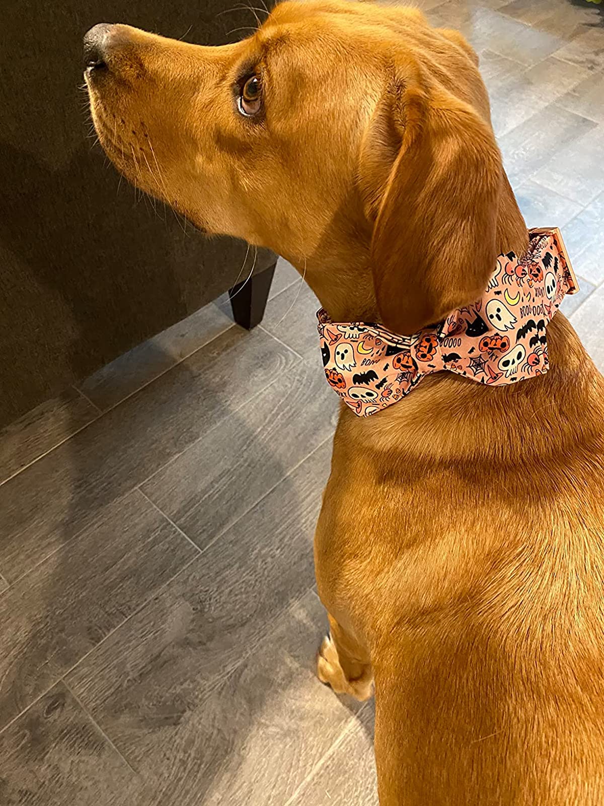 Elegant Dog Collar with Bow - Soft Halloween Pumpkin Bow Tie Collar for Large Dogs, Fall Pet Accessories for Girls & Boys | Perfect for Costume Parties & Seasonal Walks