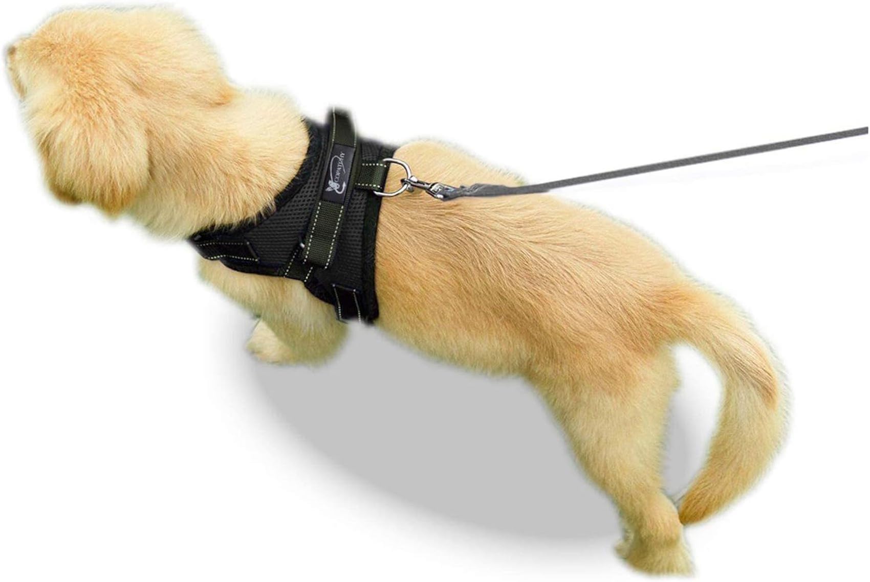 No Pull Reflective Adjustable Dog Harness with Handle - Soft Breathable Mesh for Small Medium Large Dogs - All Weather Comfort for Walking Running Hiking (Black, XX-Small)