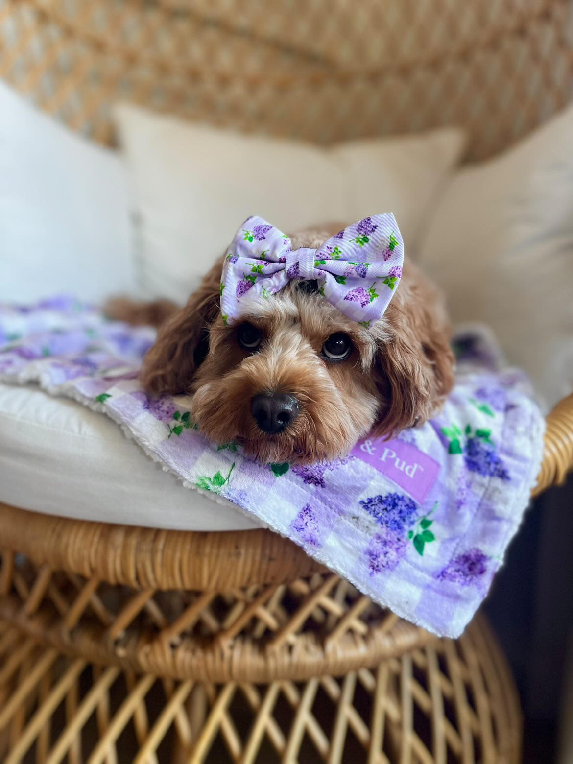 Luxury Gingham Lilac Throw Blanket - Soft & Cozy Plaid Blanket for Bed, Couch, Sofa - Perfect for Home Decor, Gifts, and Relaxation - Coco & Pud