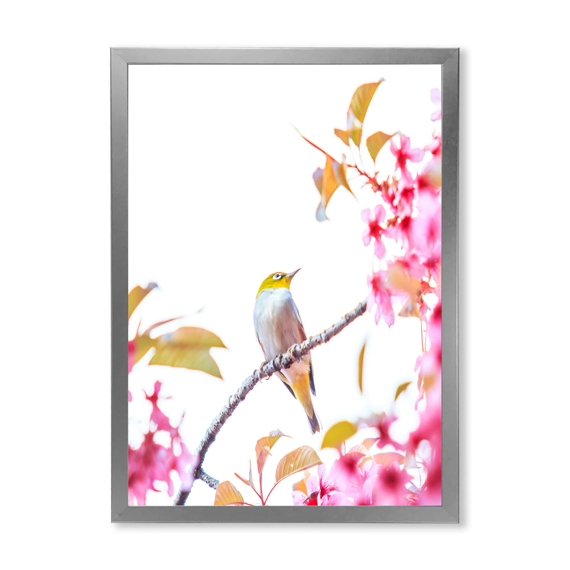 DesignQ Traditional Framed Wall Art - Cherry Blossom Bird Painting - Home Decor for Living Room, Bedroom & Office