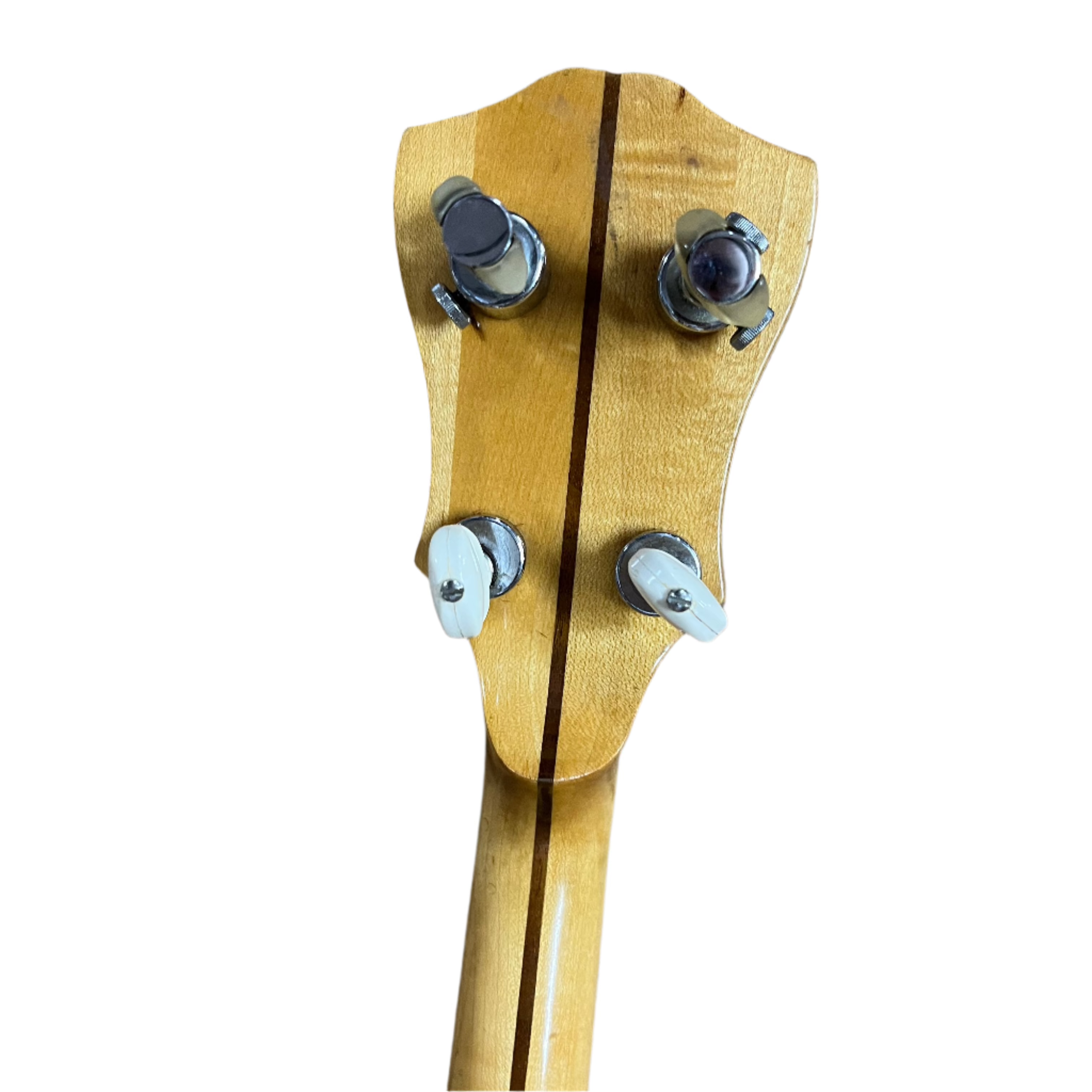 Fender Allegro 5-String Banjo with Hard Case - Professional Quality for Bluegrass, Folk & Country Music Performances