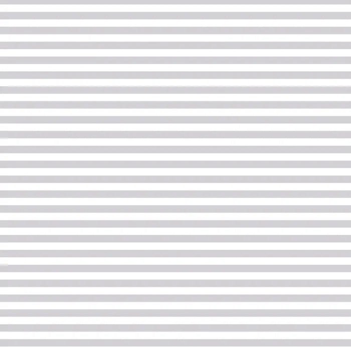 Devonstone Fundamentals DV2831 1/4 Stripe Silver Gum - Perfect for Office, School, and Home Organization | High-Quality Rubber Bands for Securing Documents and Bundles