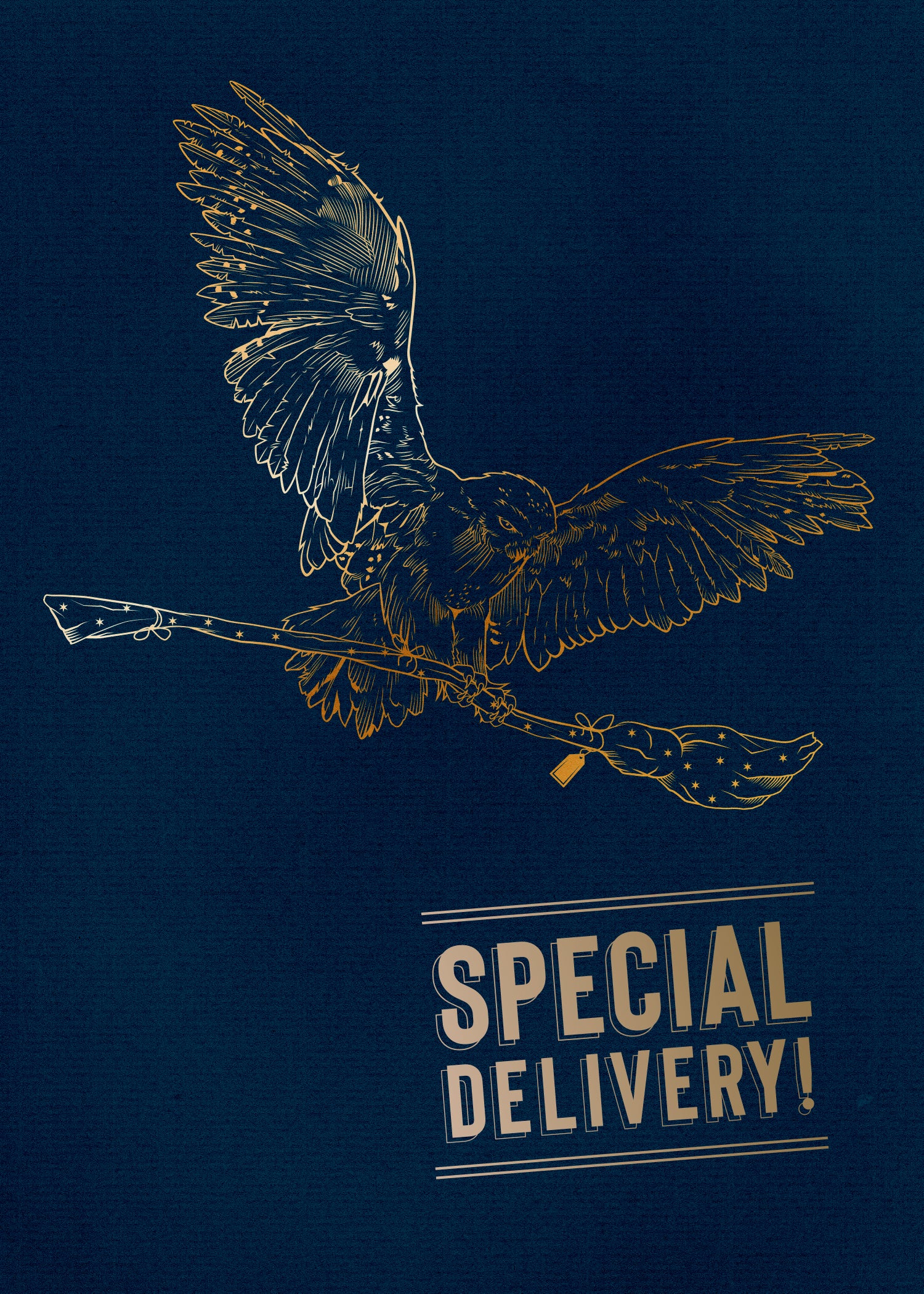 Harry Potter Hedwig Pop Up Greeting Card - Collectible Signature Edition for Birthday, Christmas & Special Occasions - Perfect Gift for Fans & Collectors