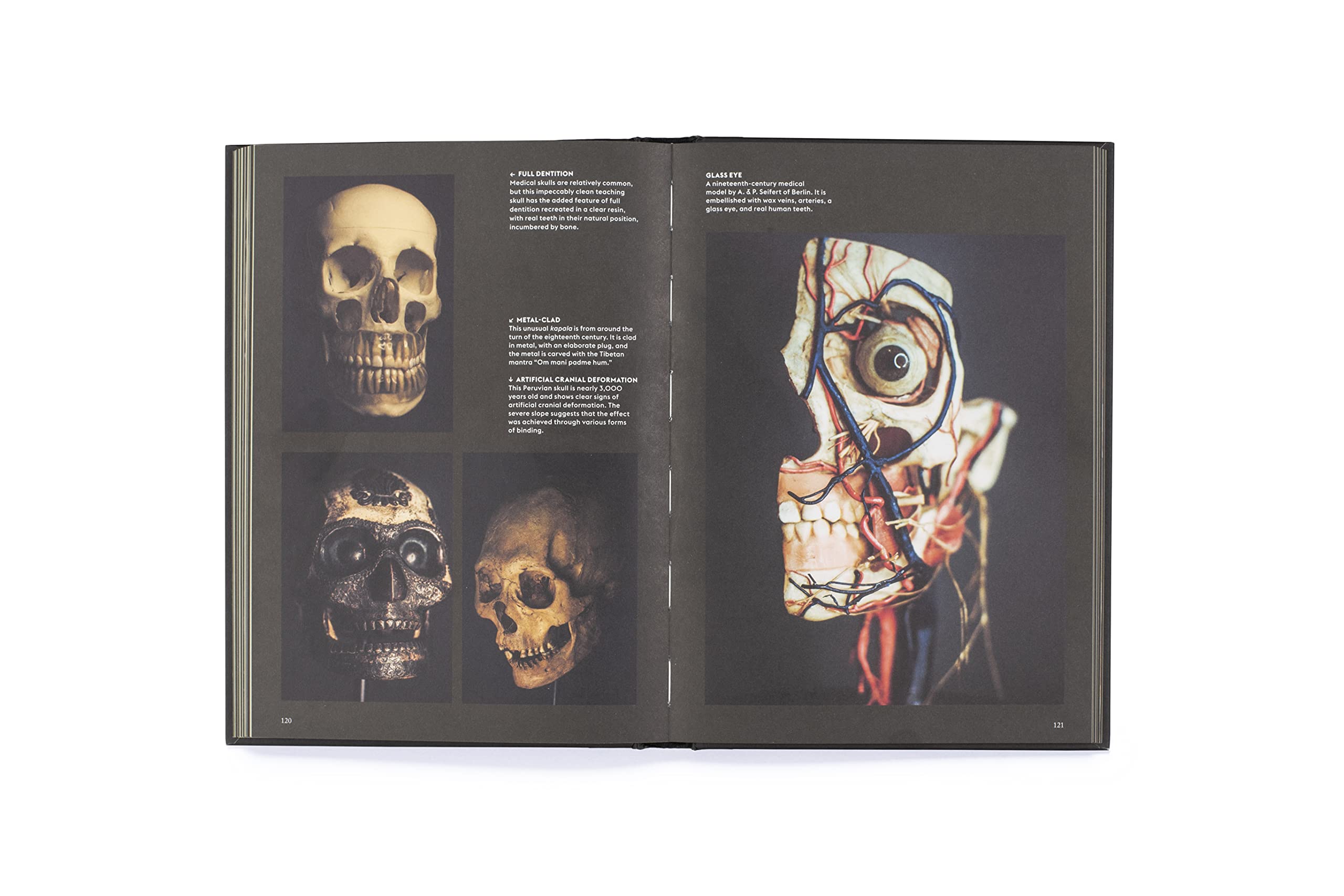Skulls: Portraits of the Dead and Their Stories - Unique Home Decor & Gothic Collectibles for Halloween, Dark Aesthetics & Macabre Art Lovers