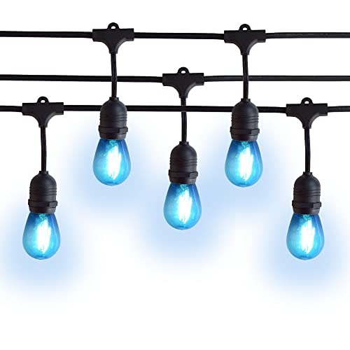 Shatterproof LED Bulbs 2-Watt - Blue - Black Cord