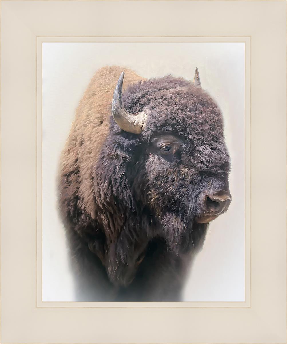 Bison By Matthew Grant | Premium Bison Meat & Jerky | High-Protein Snacks for Camping, Hiking & Outdoor Adventures