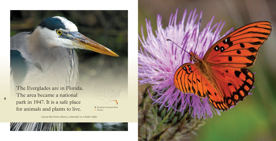 Everglades Book ISBN 9781608186310 - Explore Florida's Unique Ecosystem for Nature Lovers & Travelers