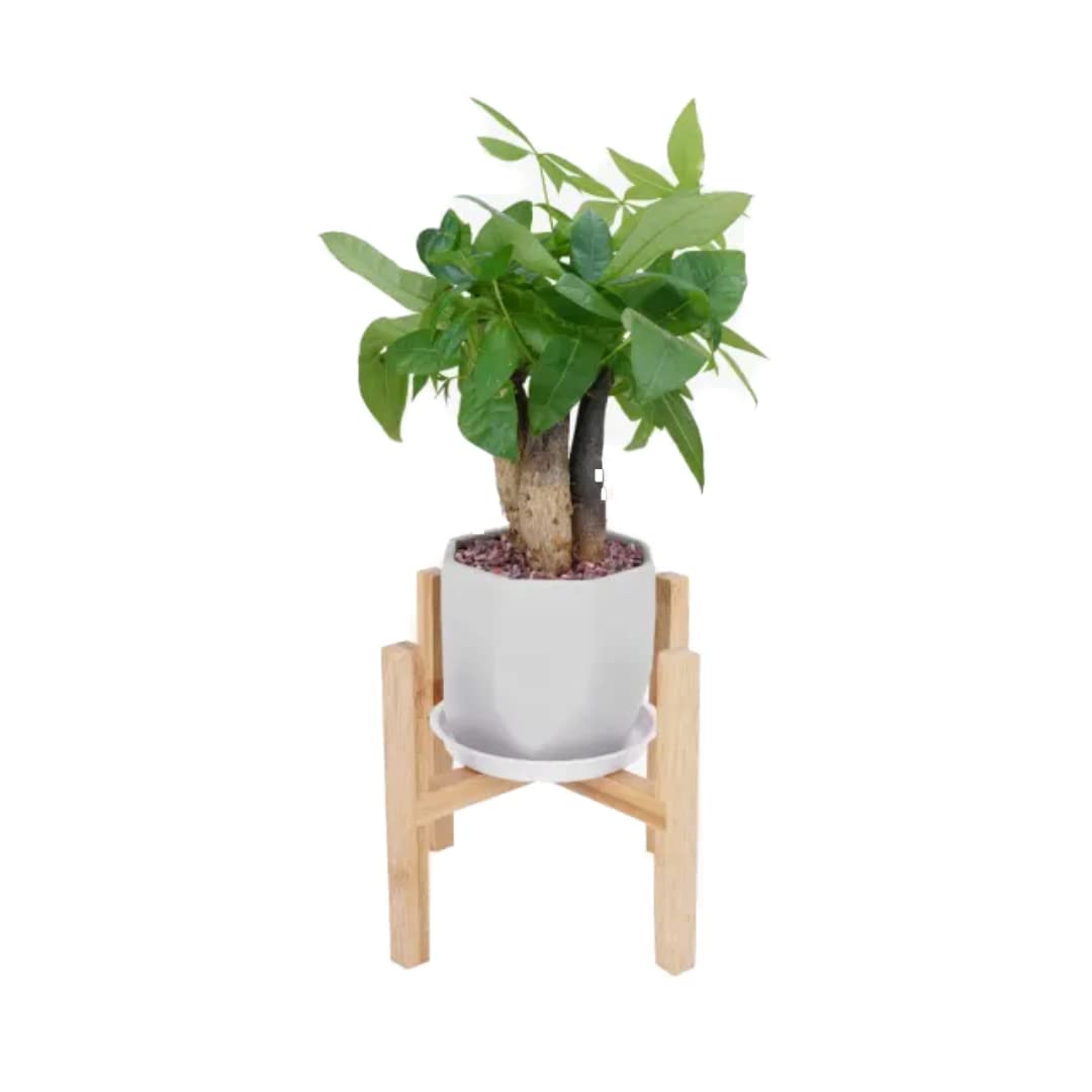 Stylish Wooden Plant Stand for Indoor & Outdoor Use - Perfect for Home Decor, Garden, Patio, and Balcony Plants