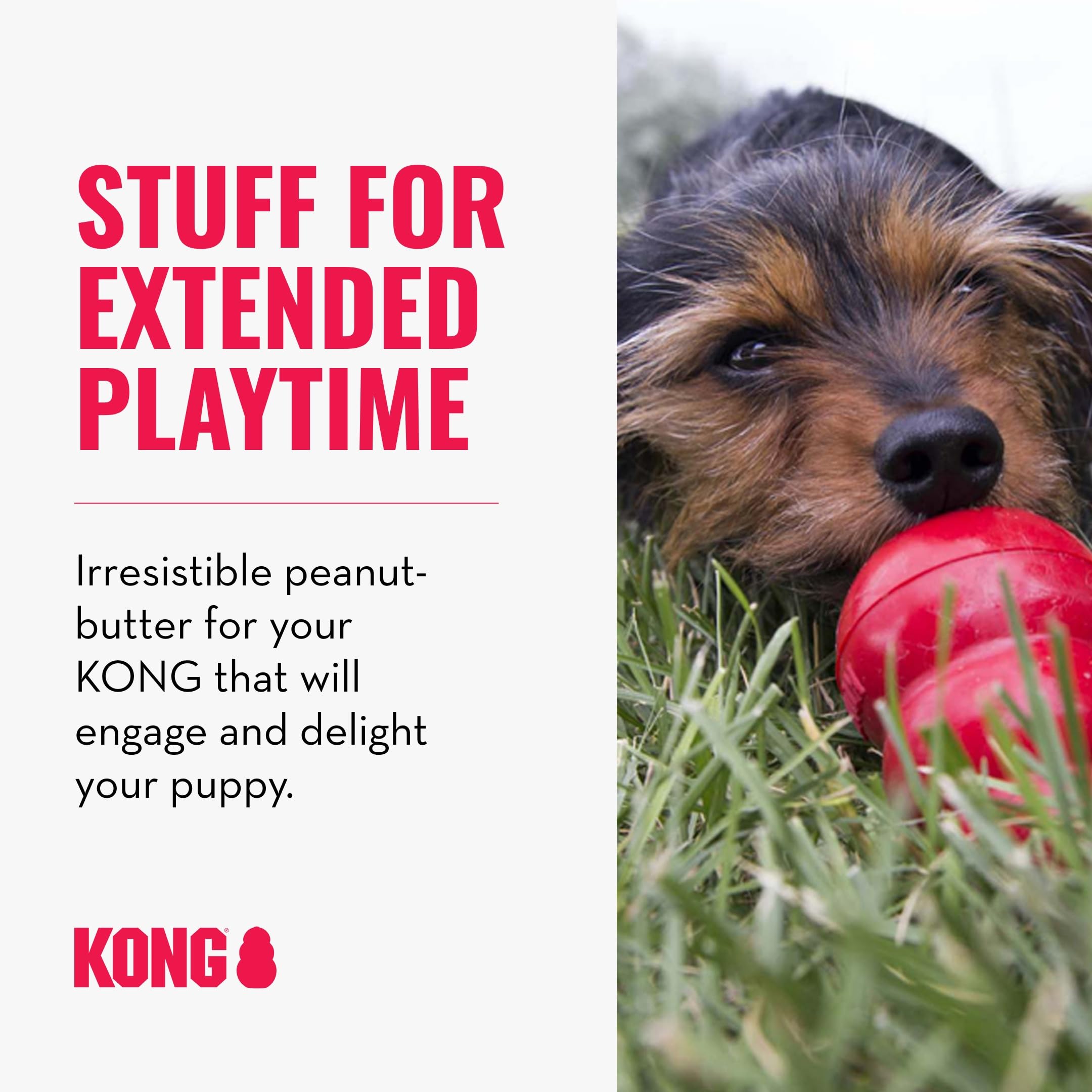 KONG Classic Stuffable Dog Toy & Peanut Butter Treat Spray - Durable Chew & Fetch Toy for Small Dogs - Interactive Enrichment for Hours of Fun - Perfect for Indoor Play, Training Rewards & Anxiety Relief