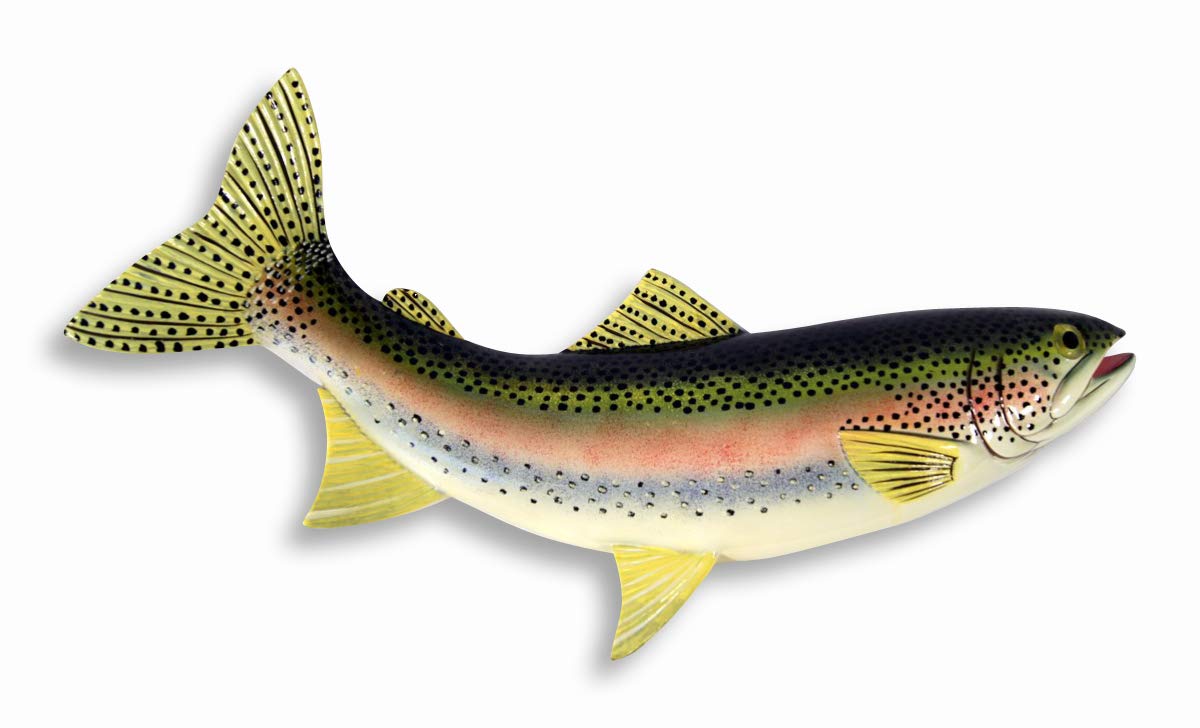 Hand Painted Rainbow Trout Replica Wall Mount - 18