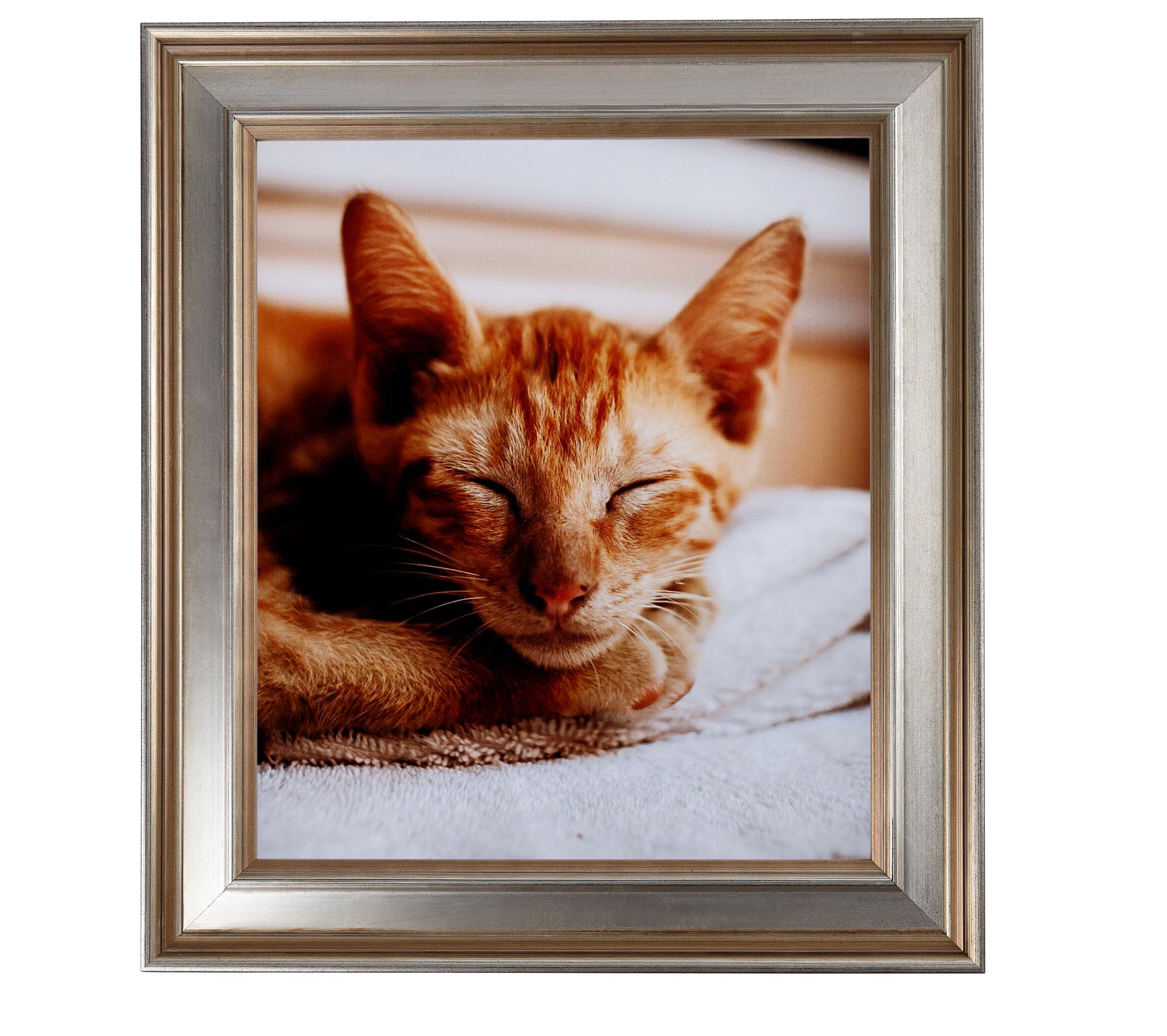 ArtToFrames 20x28 Inch Silver Wood Picture Frame with Gold Accents - Premium Wall Decor for Living Room, Bedroom & Office - WOMD1087-20x28