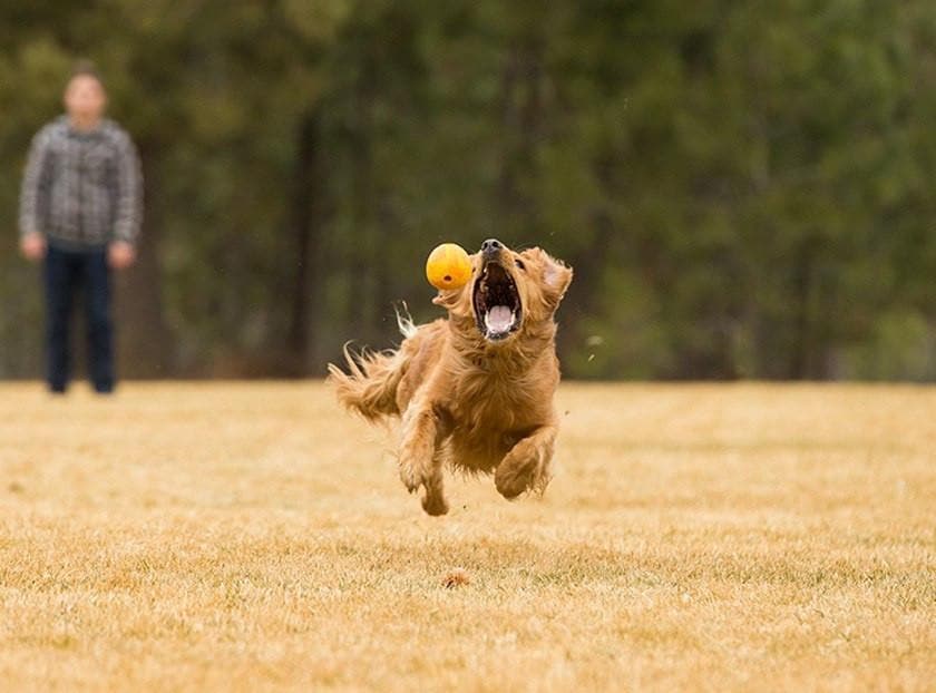 **Ruffwear® Huckama® Dog Toy Ball for Fetch - Durable Red Chew-Resistant Ball for Active Dogs - Perfect for Outdoor Play, Training & Beach Fun**