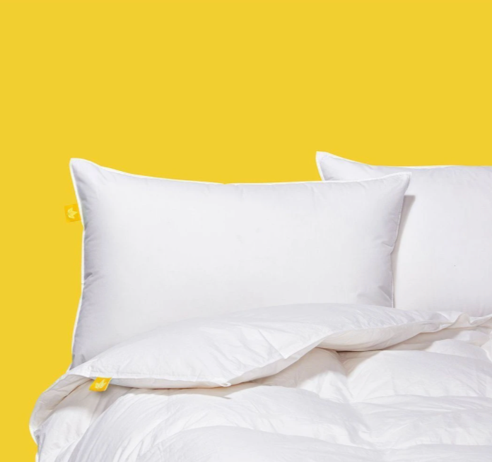 Premium White Goose Feather & Down Comforter - All-Season Luxury Bedding for Ultimate Comfort & Warmth | Perfect for Master Bedrooms, Guest Rooms & Cozy Nights