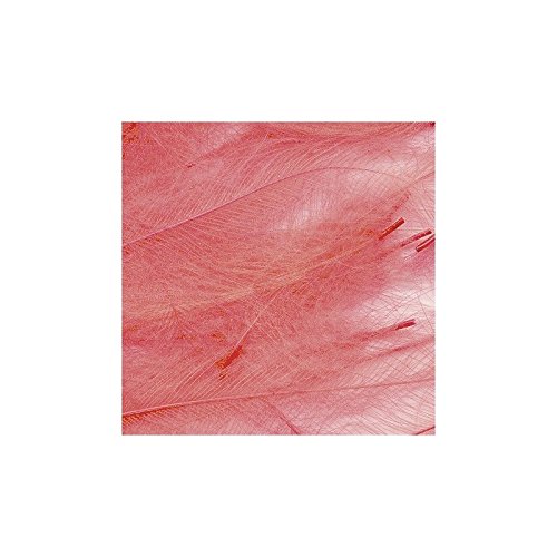Premium Petitjean CDC Feathers 1 Gram Bags for Fly Tying - Dry Fly & Nymph Fishing Accessories - Perfect for Trout & Salmon Flies (Great for Streams, Rivers & Lakes)