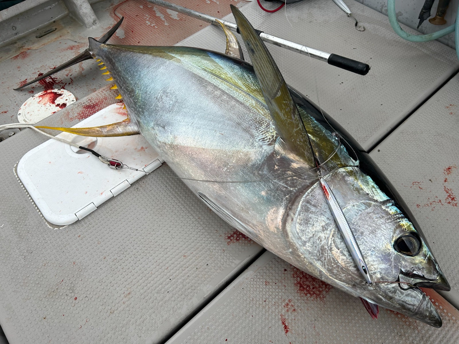 Valley Hill Blue Lancer Tuna Fishing Lures - Premium Saltwater Jigs for Tuna, Mahi Mahi & Offshore Gamefish - Perfect for Deep Sea Fishing & Trolling Adventures