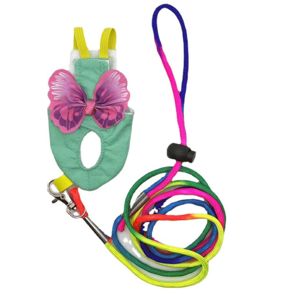 **Parrot Diaper Harness & Flight Suit for Small to Medium Birds – Adjustable, Colorful Leash – Perfect for Training, Travel & Indoor Play**