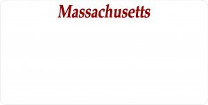 Massachusetts State Look-Alike License Plate - Custom Text & Free Personalization - Perfect for Cars, Gifts & Home Decor