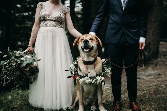 Bohemian Alaskan Mountain Wedding Dress - Elegant Lace Gown for Outdoor Ceremonies & Nature-Inspired Weddings