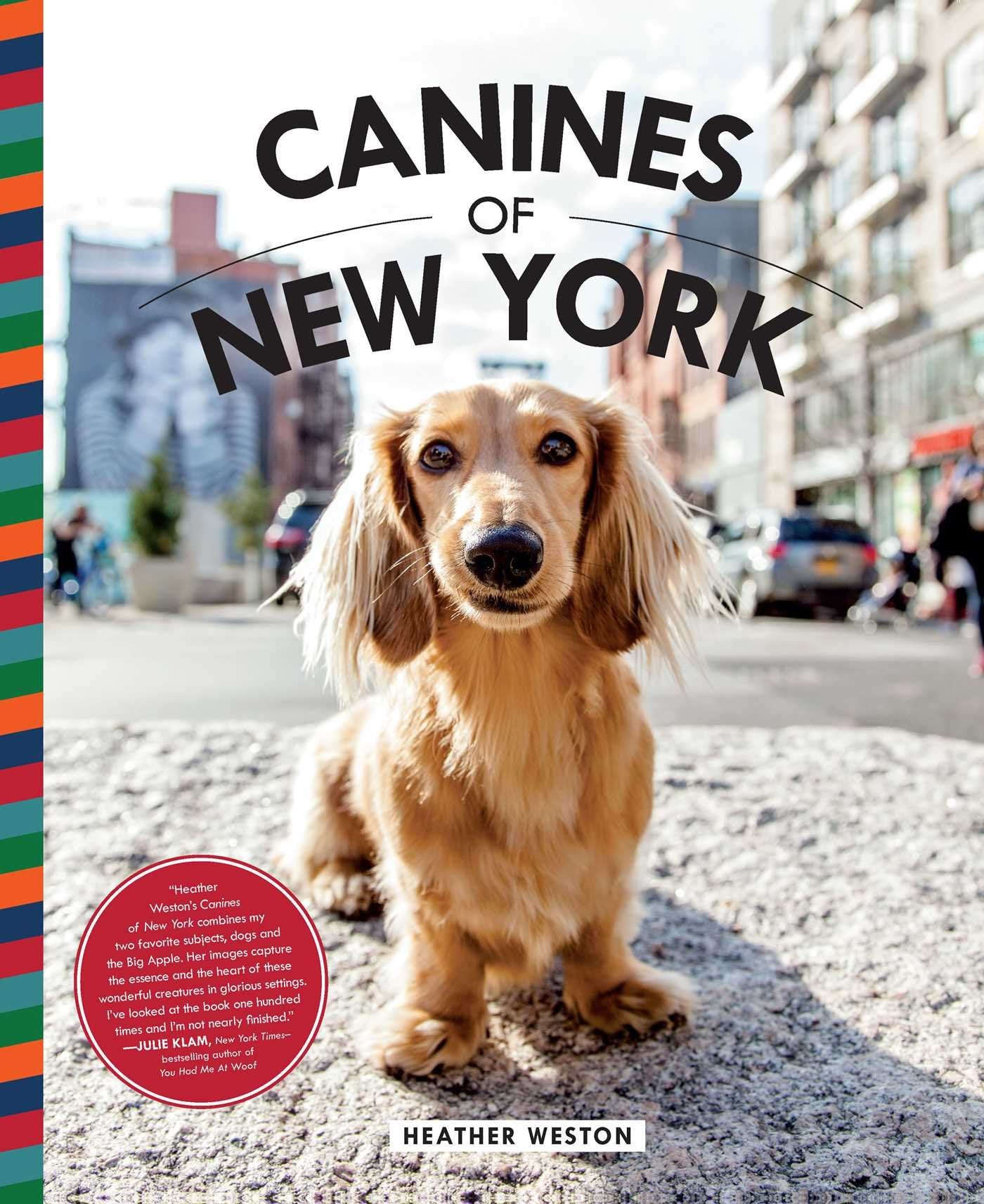 Canines of New York - Premium Dog Accessories & Apparel for Urban Pet Lovers | Perfect for City Walks, Dog Parks & Stylish Pet Owners