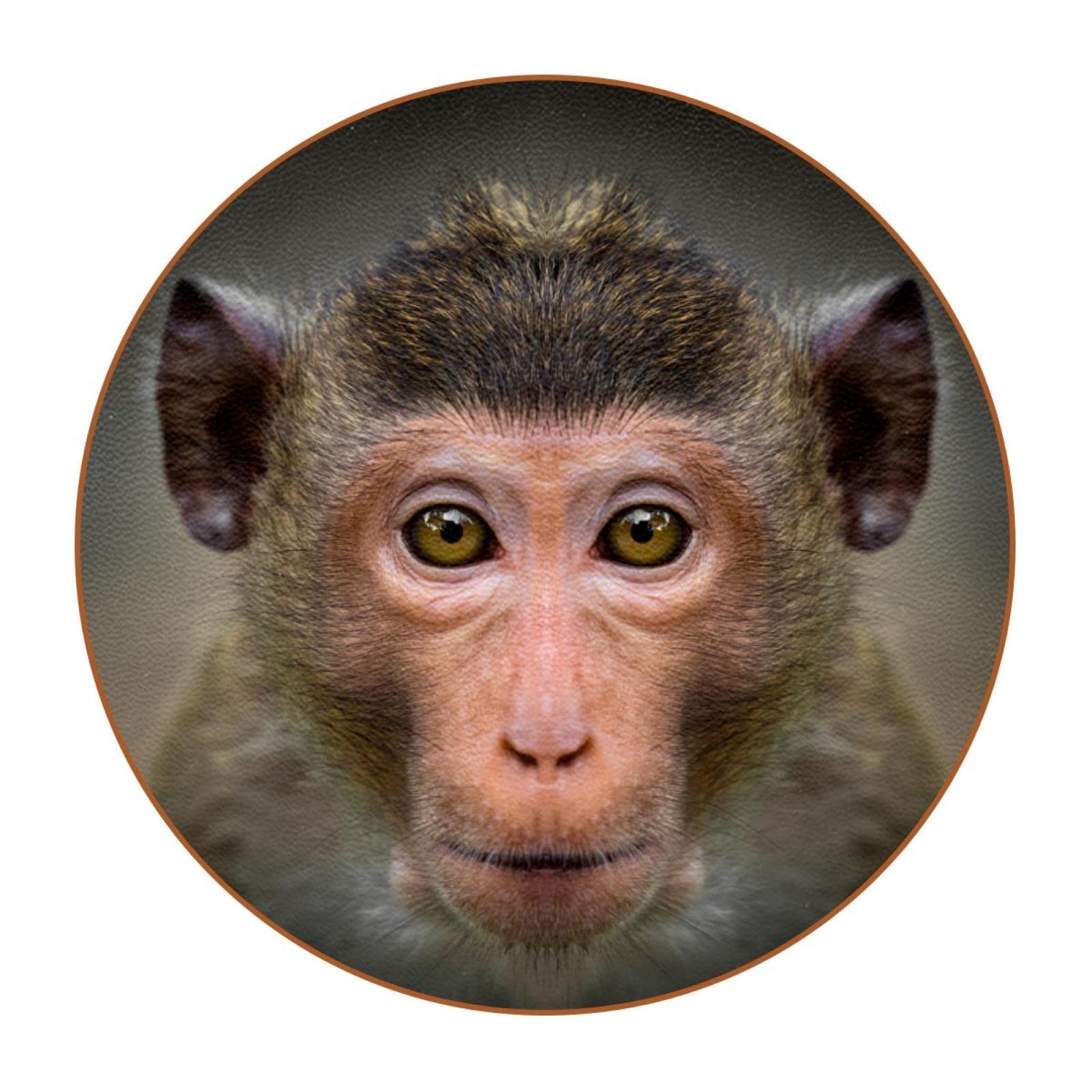 Premium Leather Coasters Set of 6 - Monkey Face Design, Non-Slip Cup Mats for Office, Kitchen & Bar - Protect Tables from Stains & Heat - Perfect for Coffee, Wine & Beverage Parties