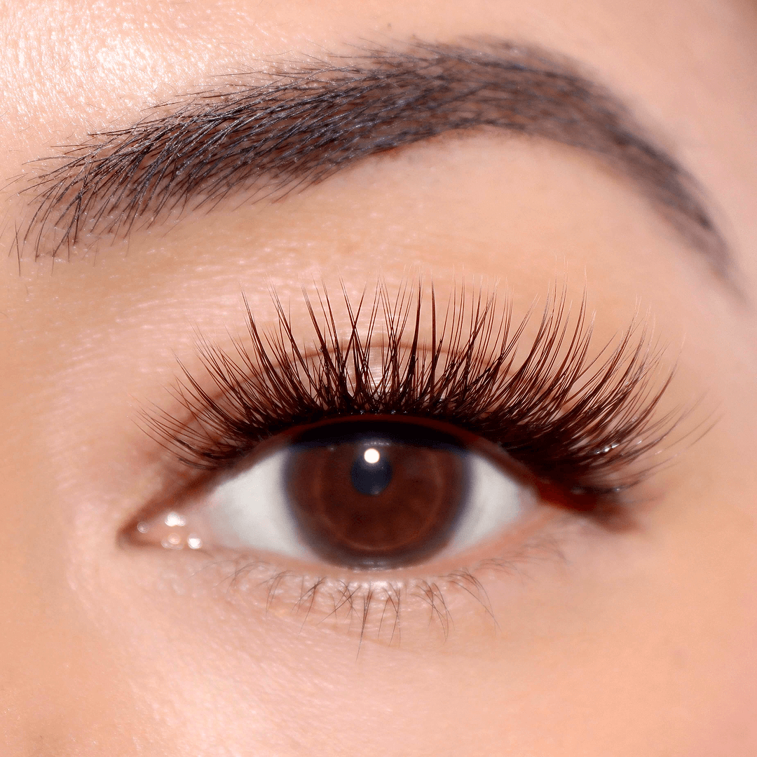 Professional Curated Eyelash Extension Kit - Natural & Dramatic Looks for Every Occasion | Perfect for Bridal, Party & Everyday Wear