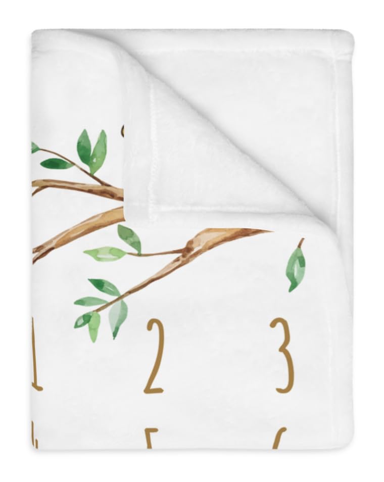 Winnie Bear Baby Milestone Blanket - Minky Fleece 60x40