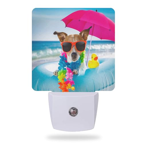 Funny Dog