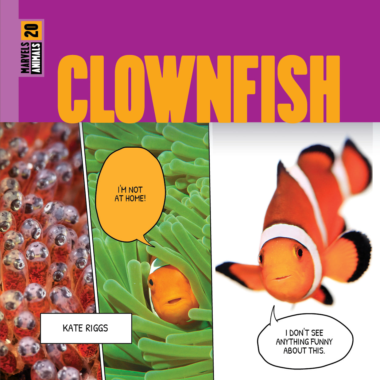 Clownfish Marvels - Vibrant Saltwater Aquarium Fish for Reef Tanks | Perfect for Marine Life Enthusiasts & Home Aquarium Decor