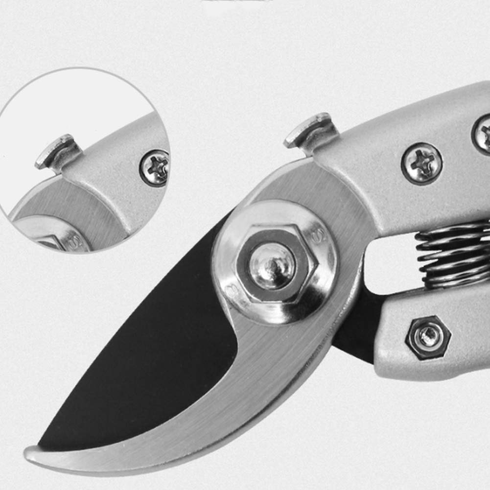 Heavy Duty Bypass Pruning Shears - Professional Garden Scissors for Trimming Trees, Shrubs, and Plants - Perfect for Landscaping, Gardening, and Outdoor Maintenance
