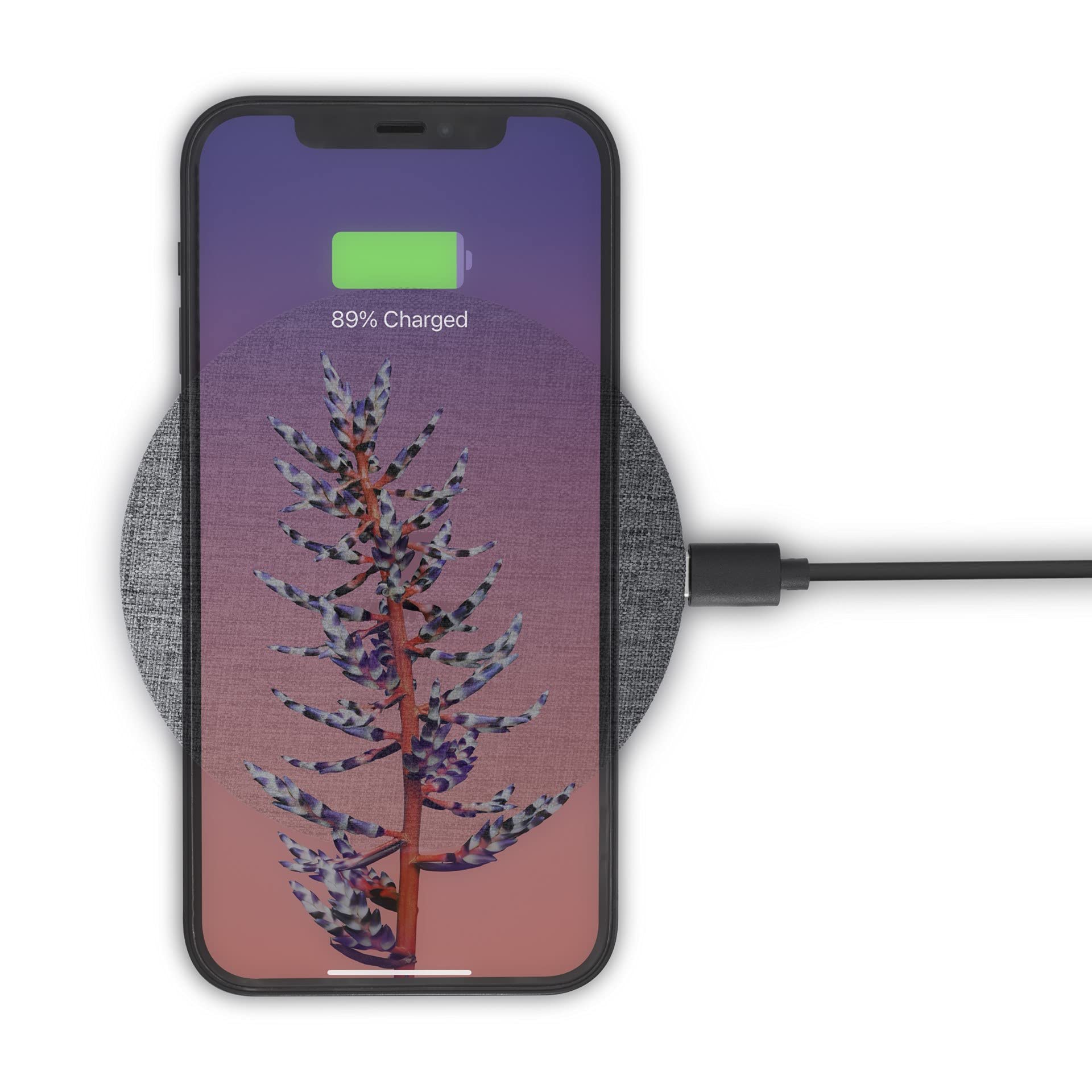 Lypertek Super Slim Qi-Certified 15W Fast Wireless Charging Pad - Compatible with iPhone, Samsung, AirPods, Smartwatches & More | Rapid Charging for Home, Office & Travel Use