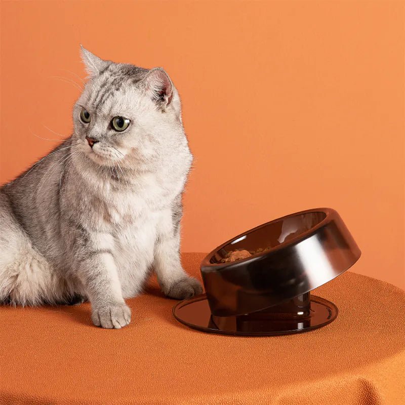 Tilt n Serve Pet Feeding Bowl - Non-Slip Elevated Dog & Cat Food Dish for Easy Mealtime - Perfect for Small, Medium & Large Pets at Home or Travel