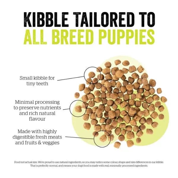 Now Fresh Turkey, Salmon & Duck Recipe Small Breed Puppy Dry Dog Food - Grain-Free, High-Protein Kibble for Toy & Mini Dogs - Perfect for Active Puppies, Training Treats & Sensitive Stomachs