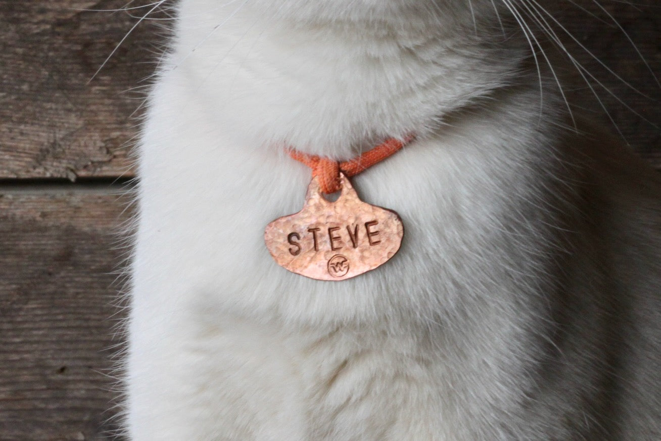 Custom Engraved Pet ID Tags - Personalized Dog & Cat Name Tags with Phone Number - Durable Stainless Steel for Dogs, Cats & Pets - Perfect for Travel, Hiking & Outdoor Adventures