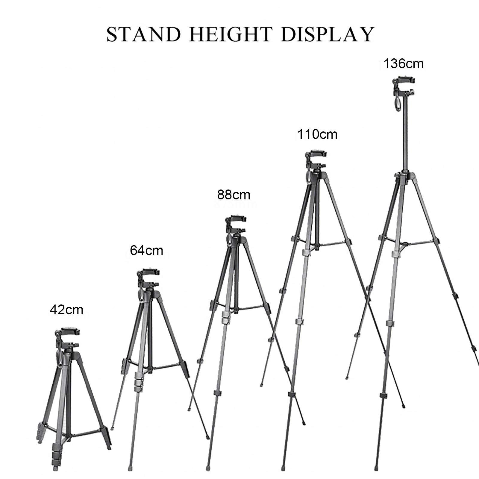 10-inch Ring Light with 53