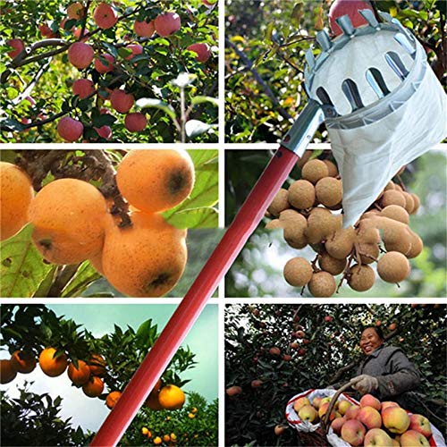 Best Fruit Picker Tool for Gardening - Easy to Use Apple & Peach Harvester with Extendable Pole - Perfect for Home Orchards, Backyard Harvesting, and Farm Use