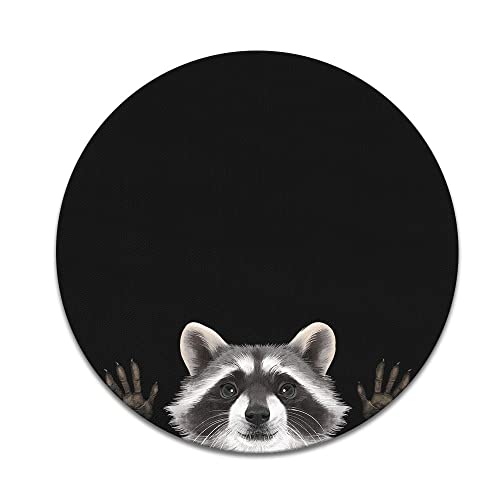 Raccoon Hands Out (1)