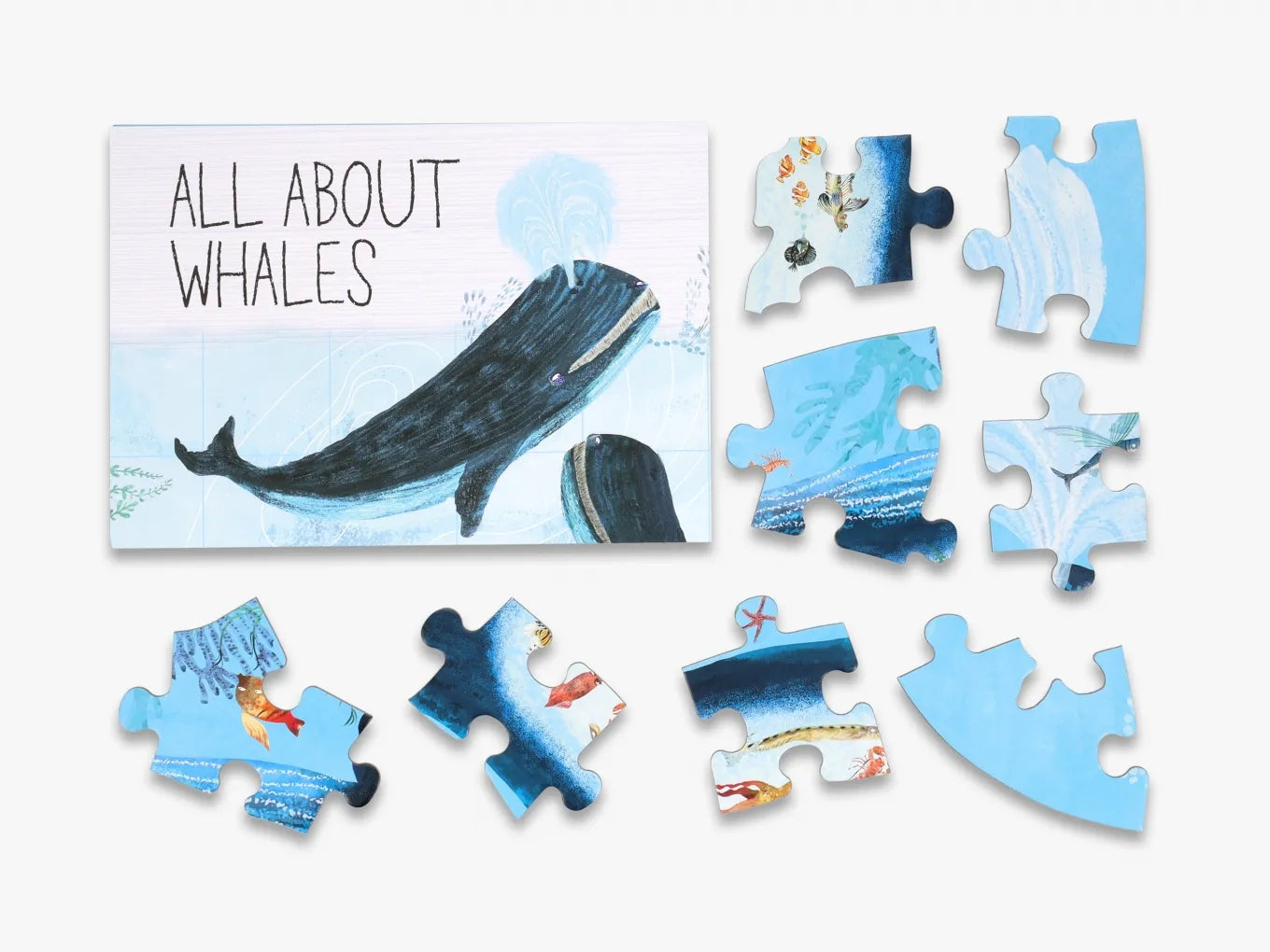Whale Belly Storage Bag - Large Capacity Waterproof Organizer for Travel, Camping & Beach Trips