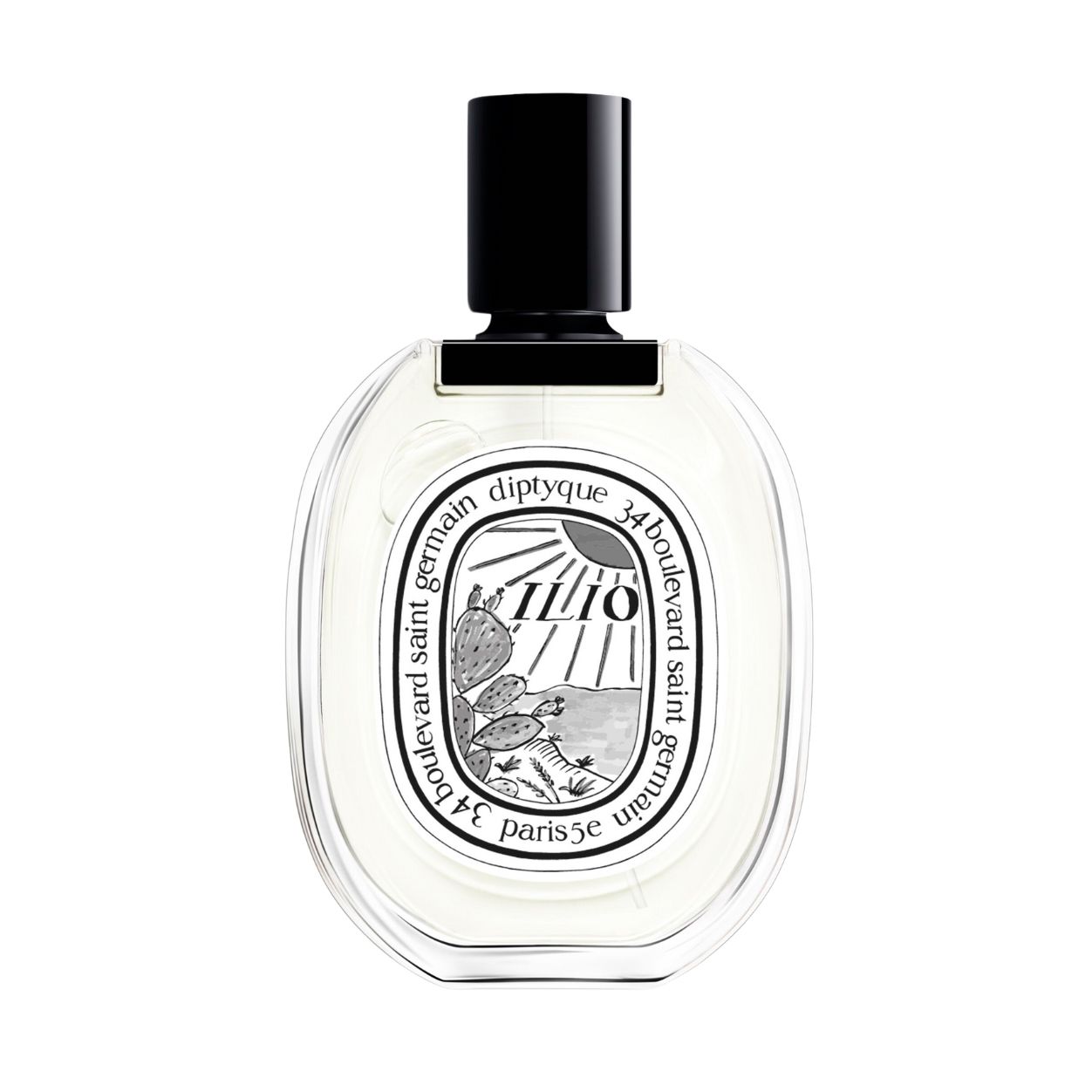Ilio Eau De Toilette for Women - Fresh Floral Perfume Spray | Perfect for Daily Wear, Office & Date Night