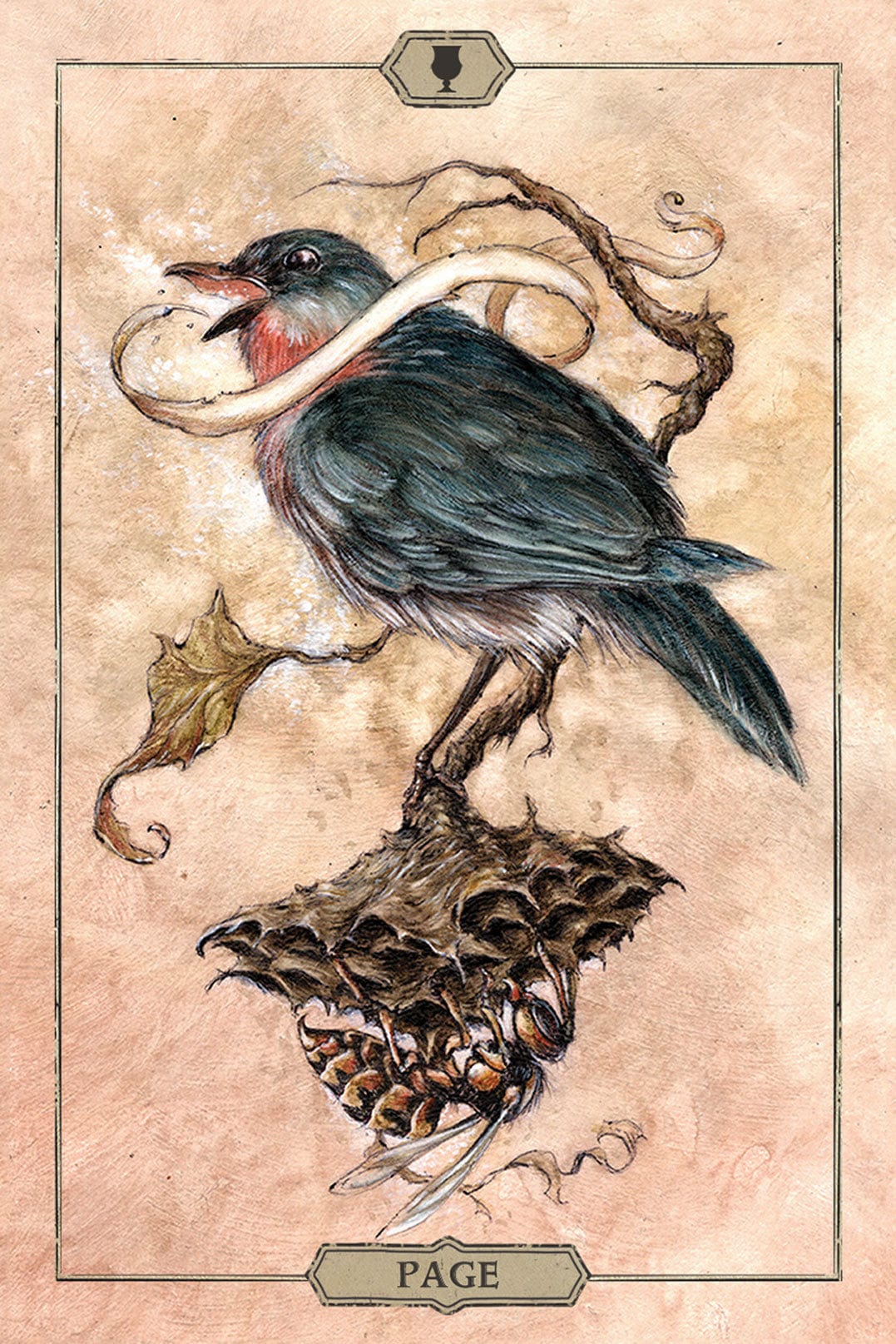 Hush Tarot Deck - Premium 78-Card Mystical Tarot Set for Divination, Meditation & Spiritual Guidance | Perfect for Beginners & Professional Readers