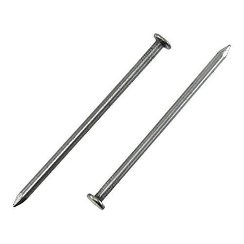 10-D (3 Inch) Common Nails - 5 Pound Box - Galvanized Steel Construction Nails for Framing, Roofing, and General Woodworking Projects