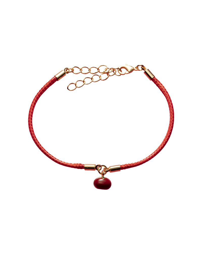 Lucky Charm Bracelet for Anniversary Gifts - Elegant Good Fortune Jewelry for Women - Perfect for Celebrations, Blessings & Special Occasions