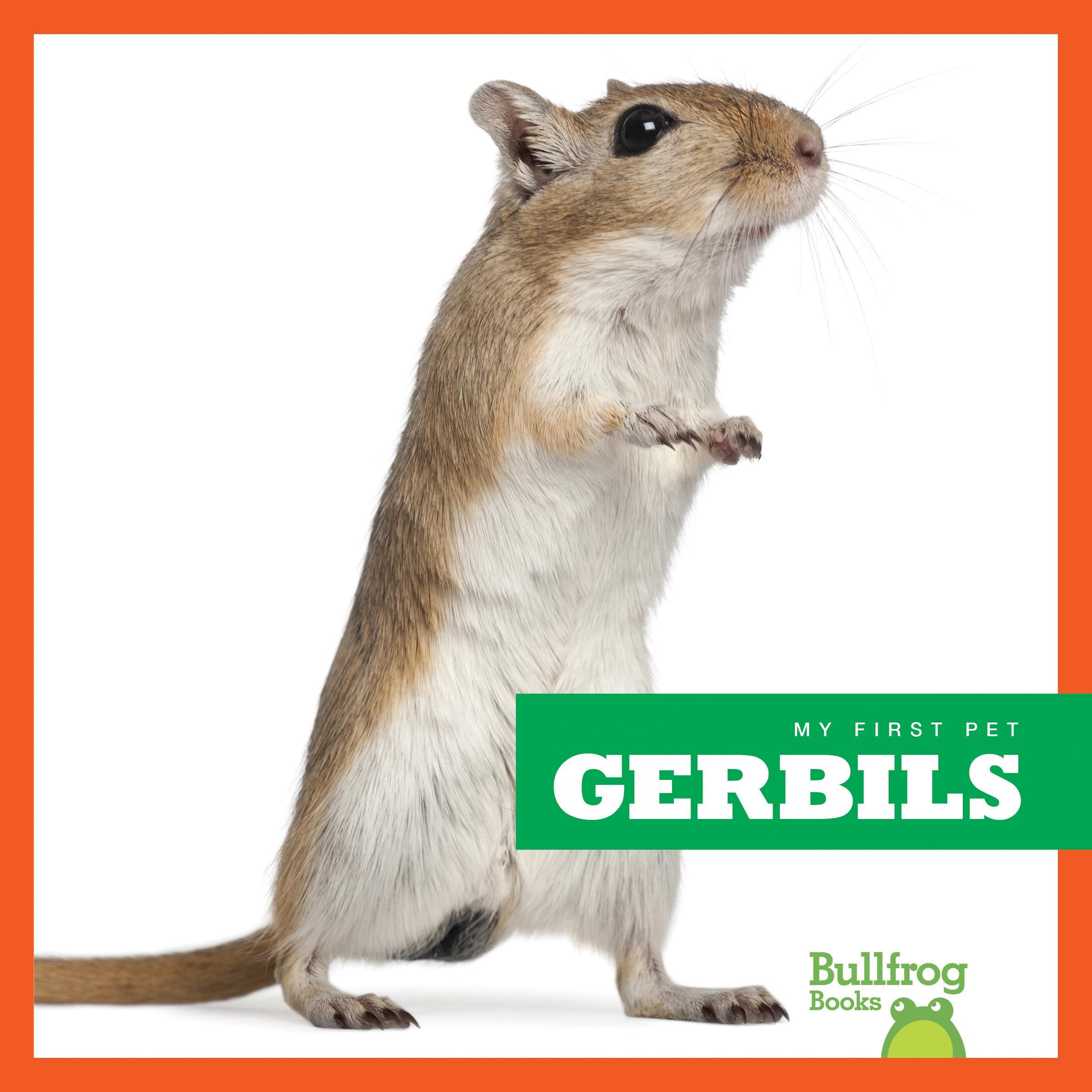Gerbils as Pets - My First Pet Guide for Kids | Bullfrog Books | Perfect for Classroom & Home Learning