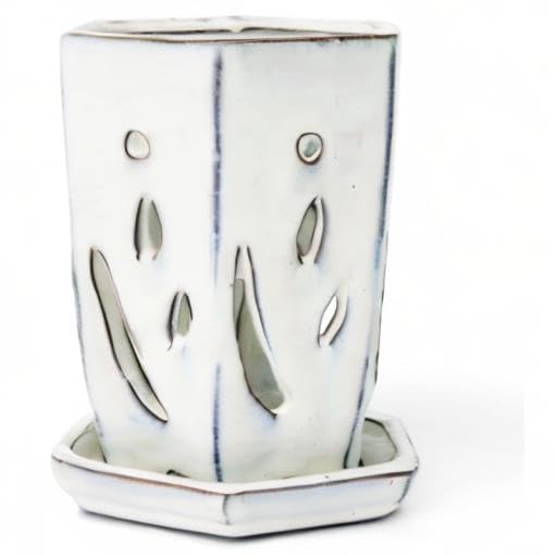 rePotme 4 x 6 Inch White Diamond Ceramic Orchid Pot with Drainage Holes - Hexagon Planter for Phalaenopsis, Dendrobium & Cattleya Orchids - Perfect for Indoor Home Decor & Greenhouse Growing