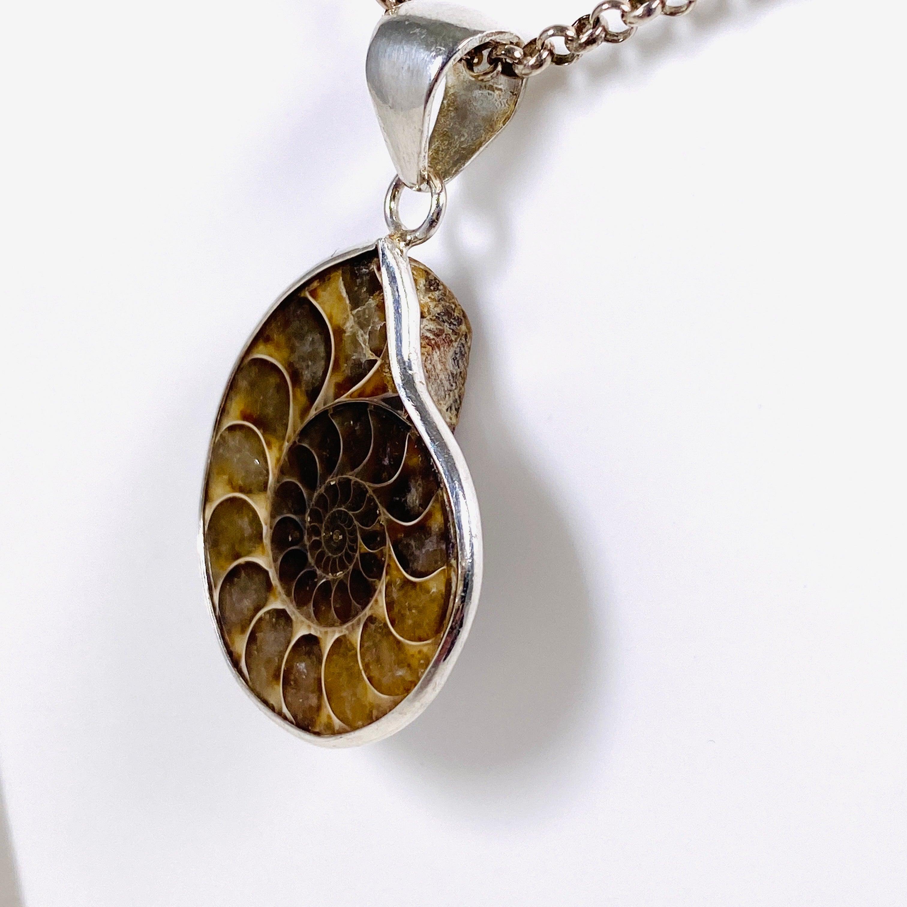 Natural Ammonite Shell Pendant Necklace - Unique Fossil Jewelry for Women & Men - Perfect for Boho Style, Spiritual Healing & Gift Giving