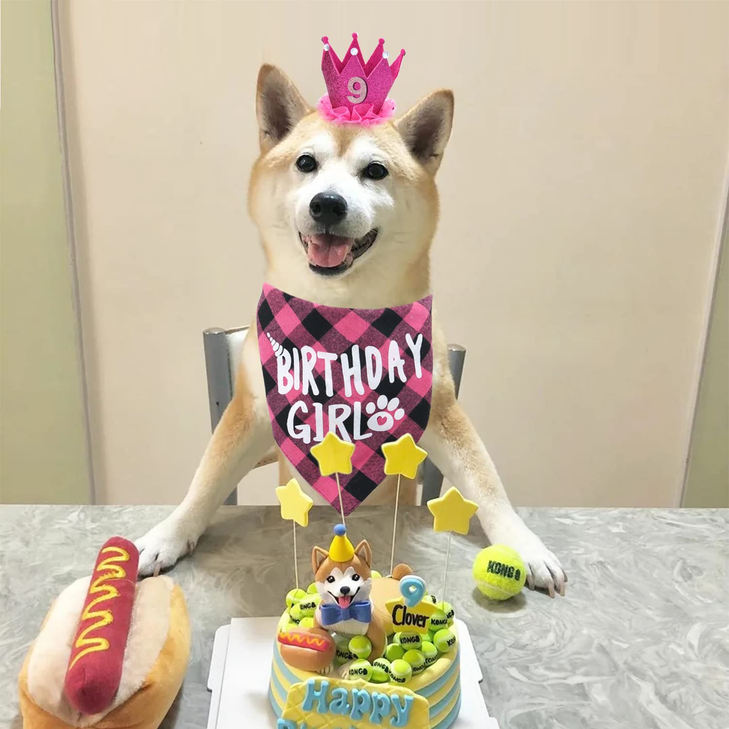 Dog Birthday Bandana with Number - Cute Pet Bandana for Small & Medium Dogs - Perfect for Birthday Parties & Photo Shoots