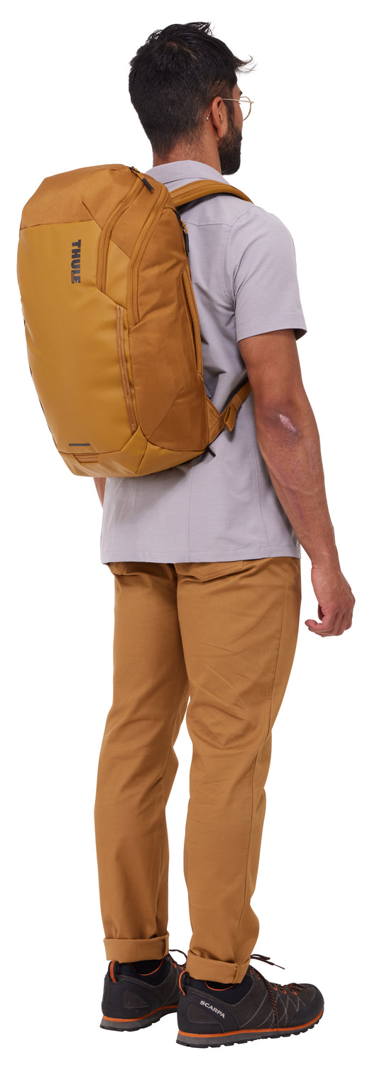 Thule Chasm 26L Laptop Backpack - Water-Resistant Travel & Work Backpack for Men & Women - Perfect for Commuting, Business Trips & College (Golden)