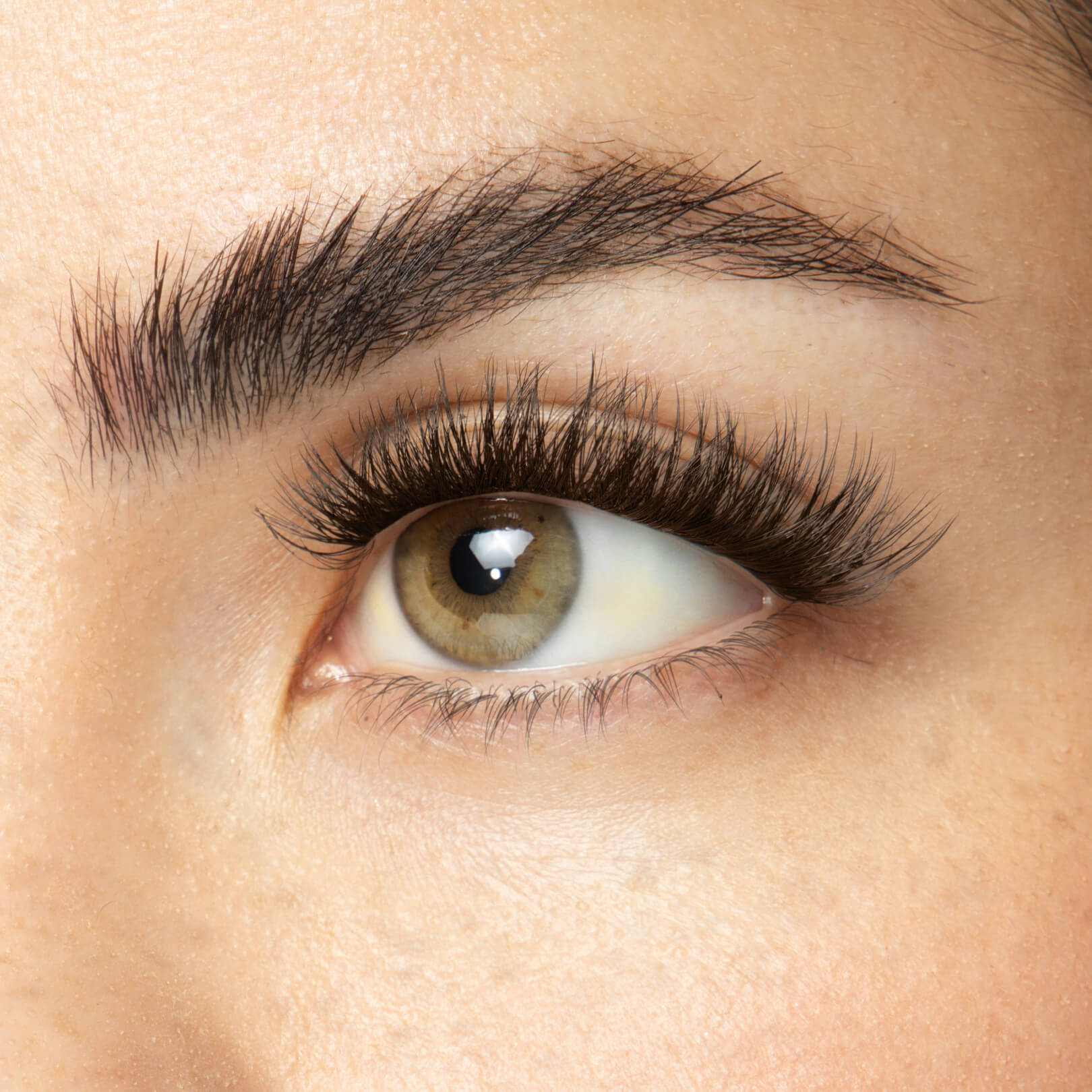 Velvet Gossamer® False Eyelashes with GripTex™ Technology - Natural Looking Lashes for Everyday Wear & Special Occasions