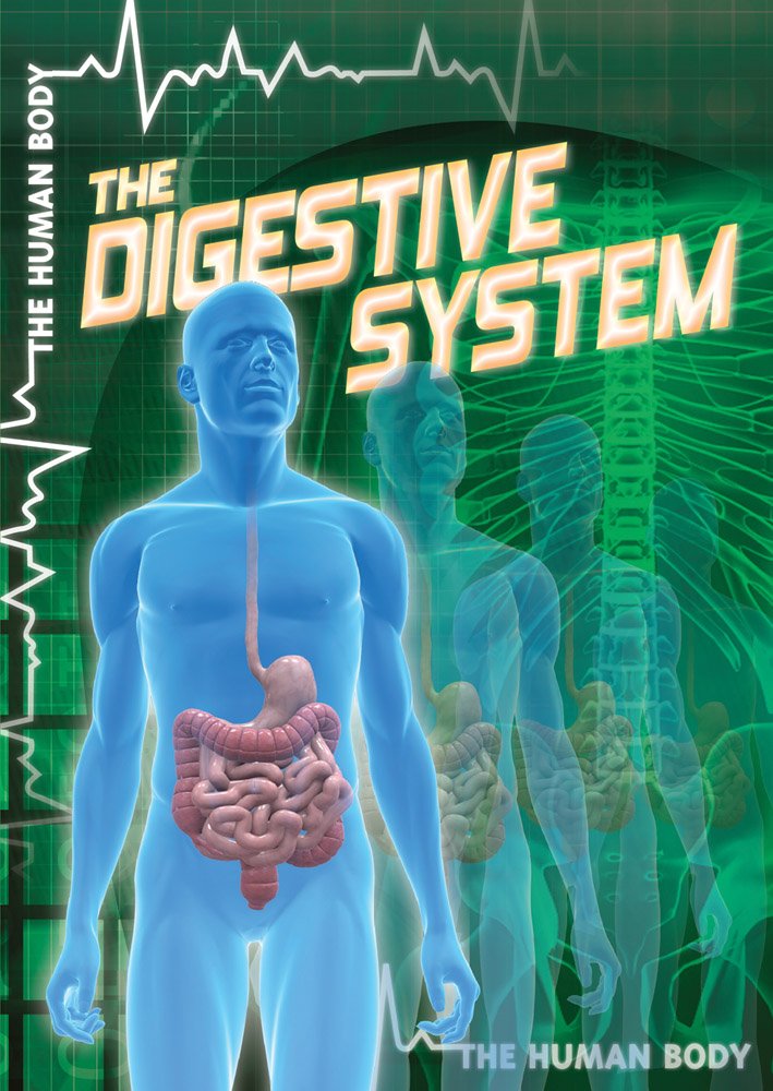 The Digestive System: Anatomy & Function of Human Body Organs | Biology Study Guide for Students & Teachers | Perfect for Classroom Learning & Homeschooling