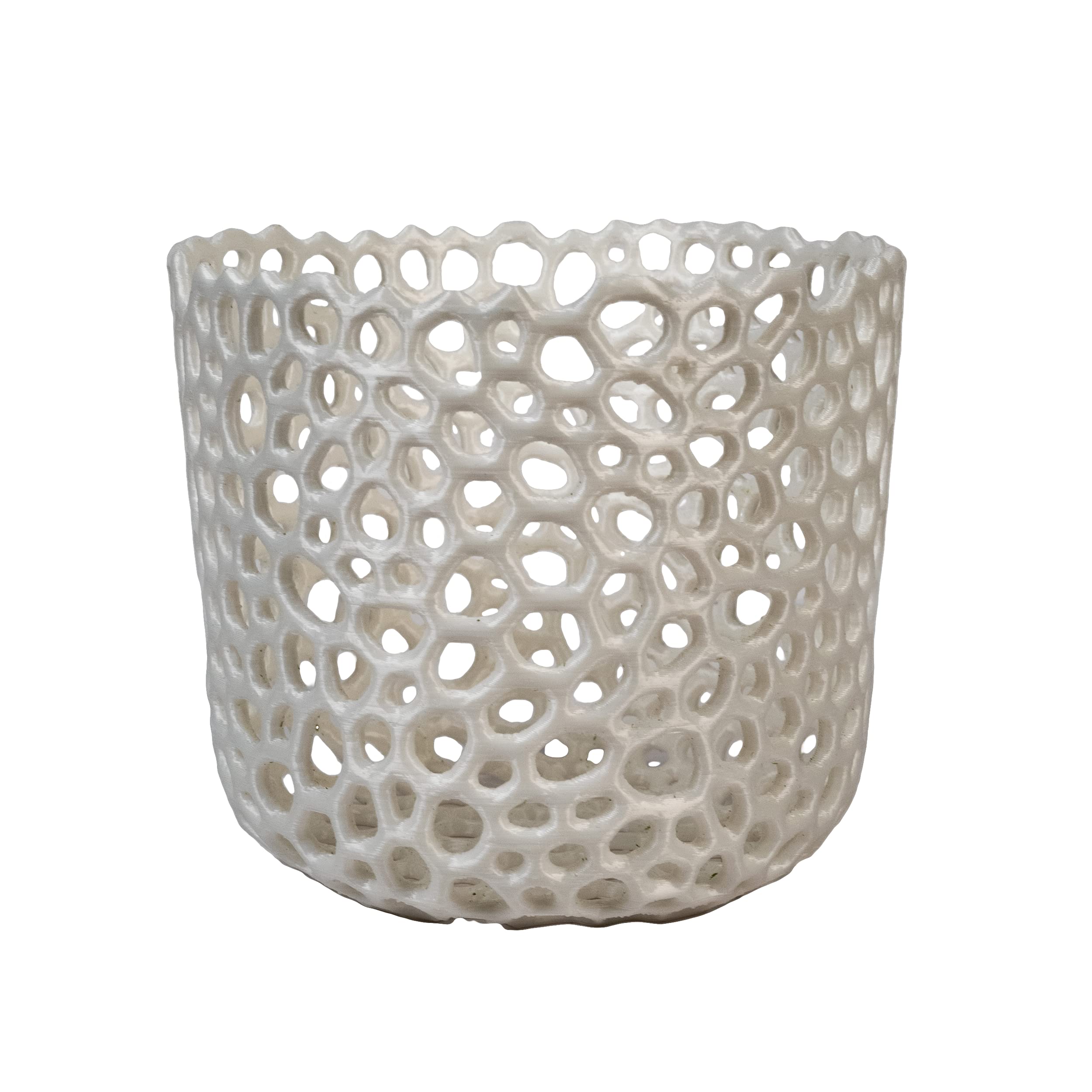 Voronoi Mesh Cylinder Orchid Pot - Breathable White Orchid Planter for Air Plants & Succulents | Perfect for Indoor Gardening, Home Decor, and Office Plants